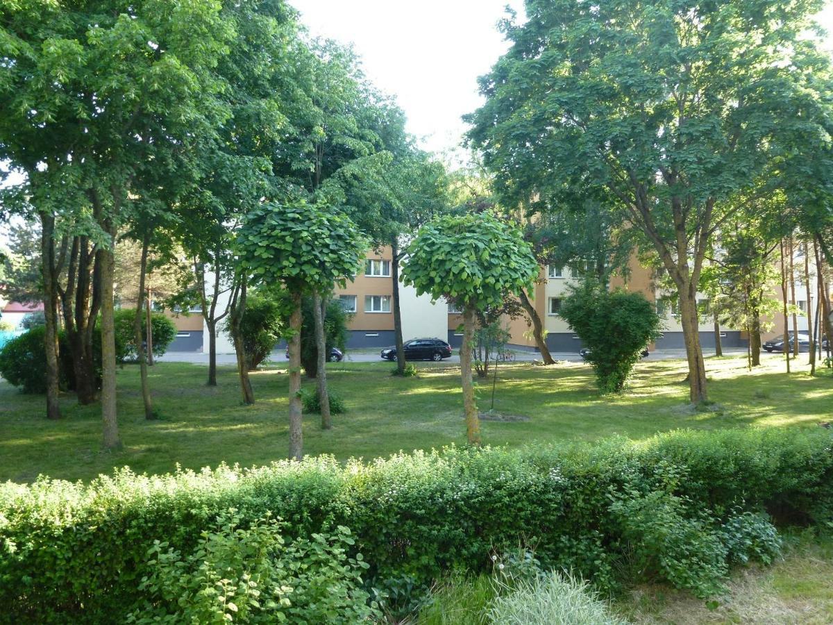 Studio Apartment "Balta" Palanga Exterior foto